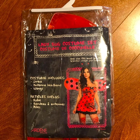 Ladybug costume